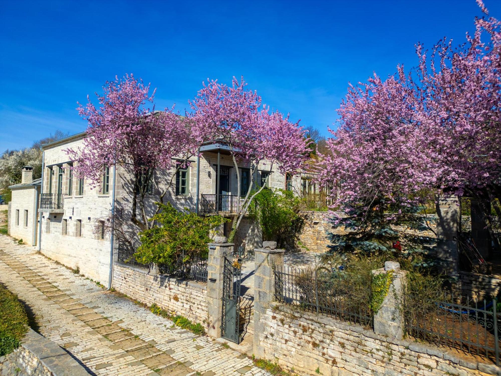 Katikia Zagori Hotel Vitsa Exterior foto